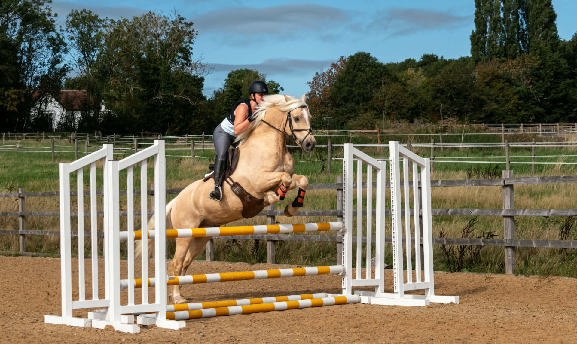 Palomino jumping yellow and white poles under a blue sky